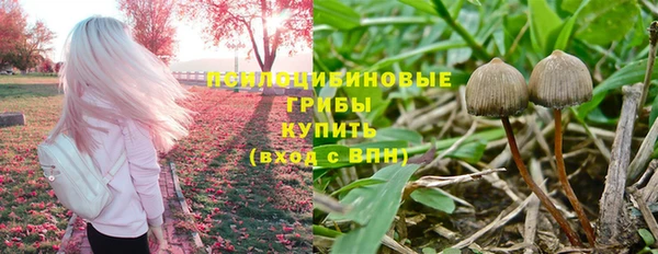 дмт Белокуриха