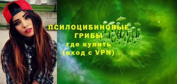 дмт Белокуриха